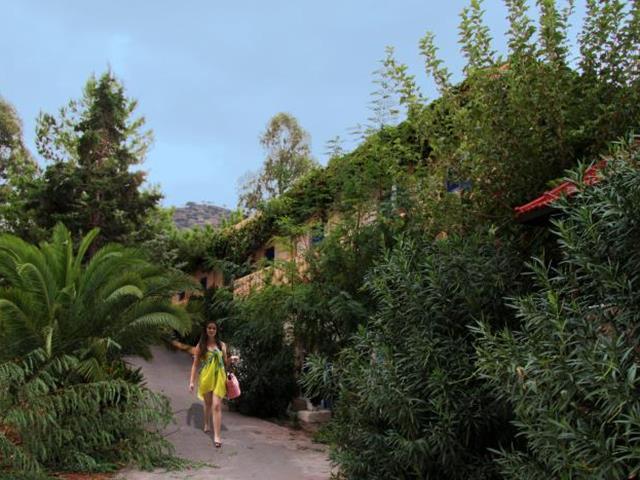 Gorgona Amoudara Lasithiou